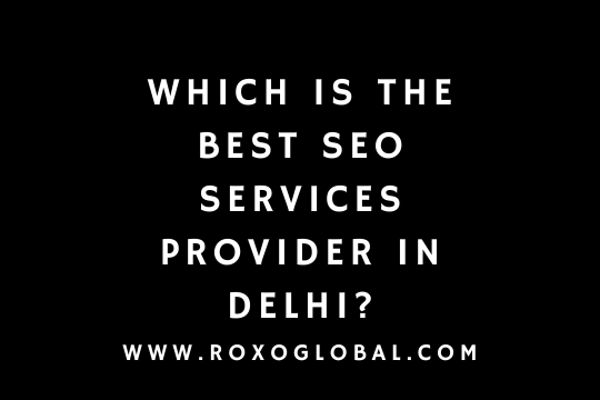 Which is the Best SEO Services Provider in Delhi?